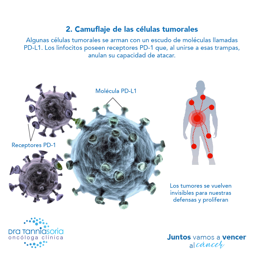 inmunoterapia-contra-el-cancer2