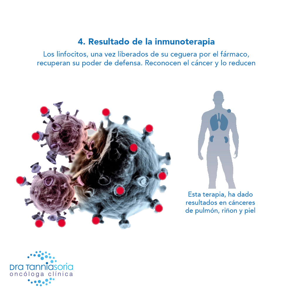 inmunoterapia-contra-el-cancer4